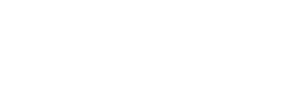 logo Business Training & Languages